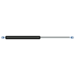 Ricambio per Bansbach N2N2-55-250-600--0XX 150-2500N